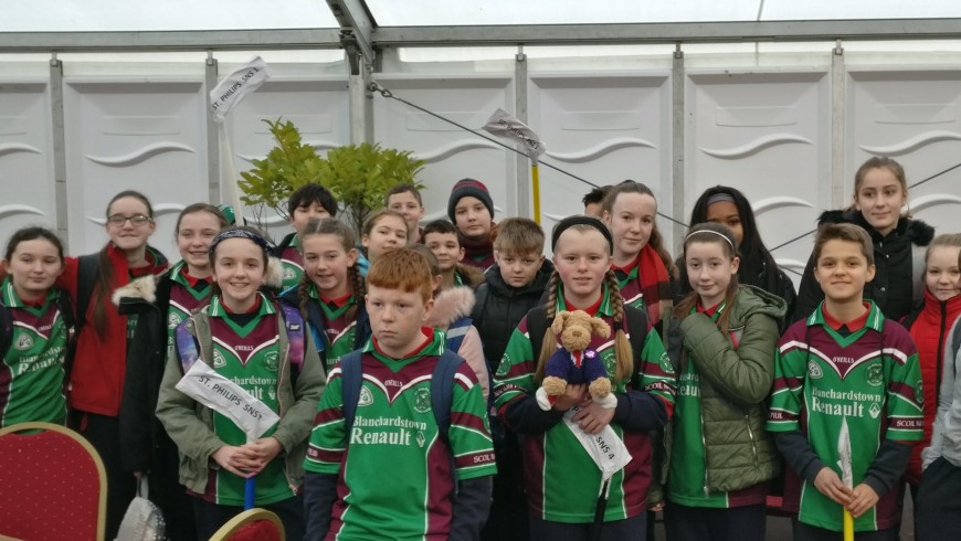 6th Class Trip to BTYSE in the RDS